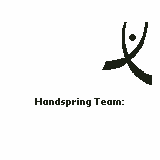    Handspring Visor