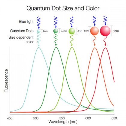 quantum dots display 2.jpg