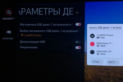 LG Store Mode USB Select Own Video.jpg
