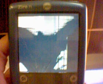 Palm Zire 71 �� ��������� � ���, ���������� ���� ���������� ��������