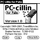   Palm