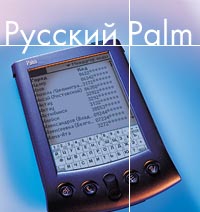  Palm