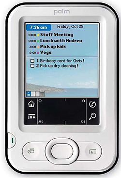 Palm Z22