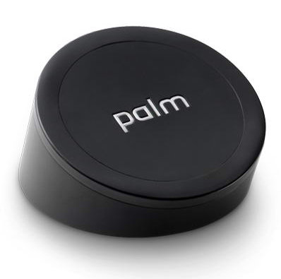 Palm Touchstone