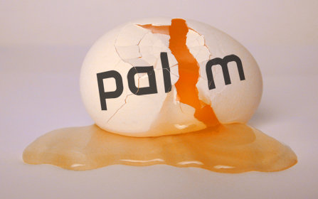Palm broken egg