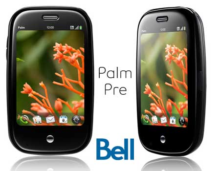 Bell Palm Pre